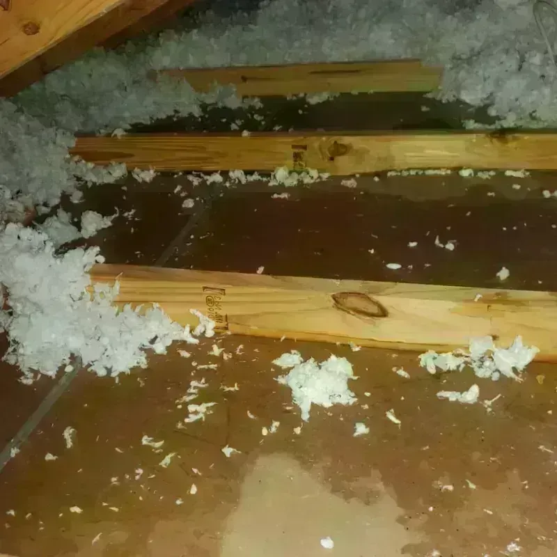 Attic Water Damage in Silver Bow County, MT