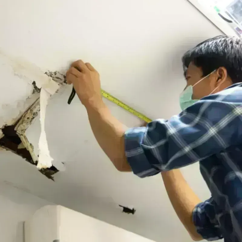 Ceiling And Wall Water Damage in Silver Bow County, MT