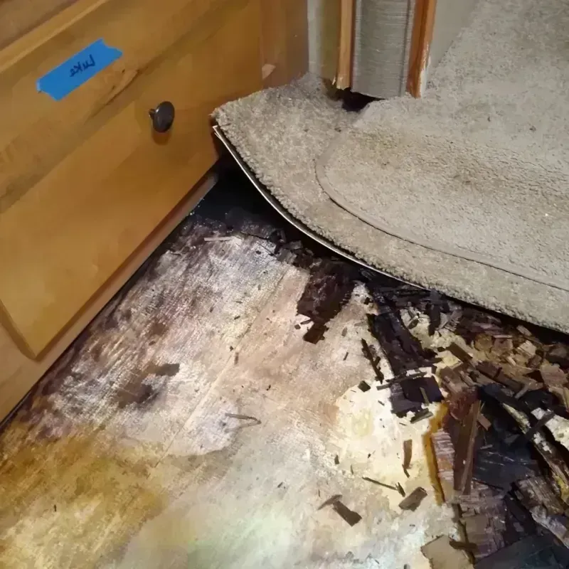 Wood Floor Water Damage in Silver Bow County, MT